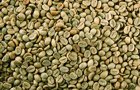 Unwashed Arabica exporter in India